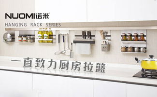 橱柜拉篮哪个牌子好 2018最新橱柜拉篮品牌