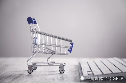 跨境电商迎新阶段 第三方服务商助力独立站成为品牌增长的第二条曲线